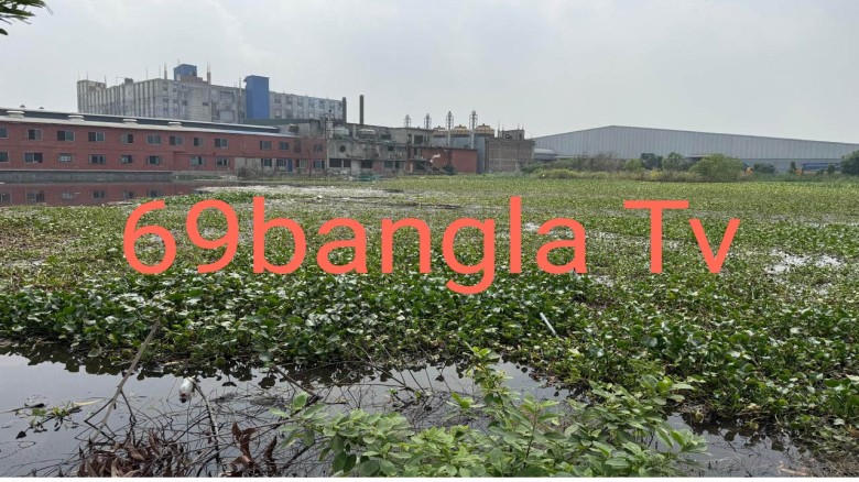 রূপগঞ্জে ডাইয়িং কারখানার অপরিশোধিত বিষাক্ত বর্জ্যে পরিবেশর ক