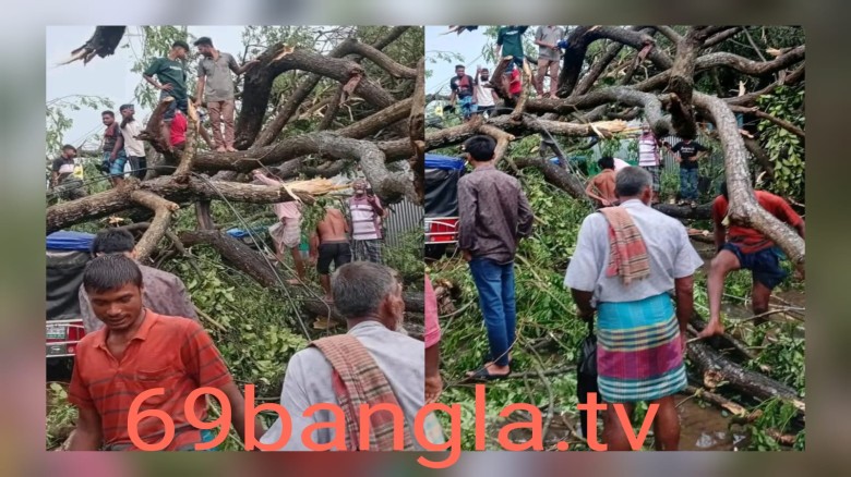কালিহাতীতে ঝড়ে ব্যাপক ক্ষয়ক্ষতি, সড়ক যোগাযোগ ব্যাহত
