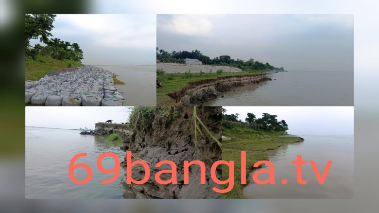 যমুনার ভাঙনে ভুয়াপুরে চরম সংকট আতঙ্কে নদীপাড়ের হাজারো মানুষ