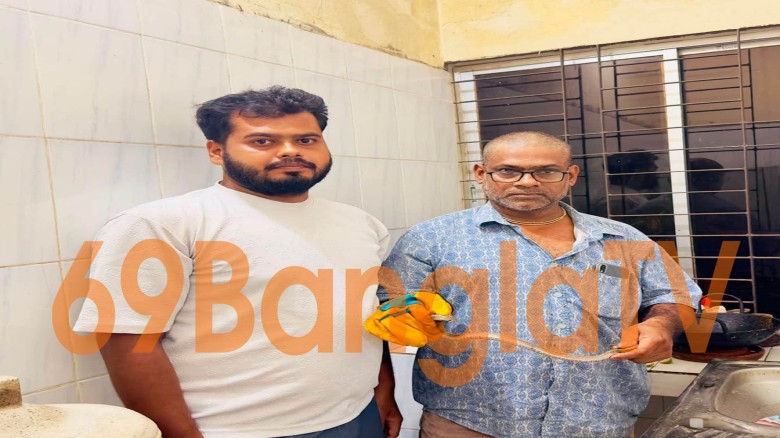 শ্রীমঙ্গলে বিরল ‘ক্যান্টর কুকরি’ সাপ উদ্ধার, বন বিভাগের কাছে