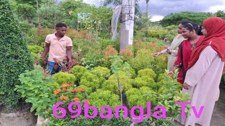 নীরব বিপ্লব ঘটছে, ছাদ বাগানি ও নার্সারি মালিকদের \ ব্যবসা সফ