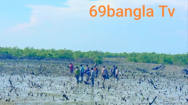 মহেশখালীর ধলঘাটাতে বন বিভাগের অভিযানে দখল মুক্ত হওয়া ভূমিতে 